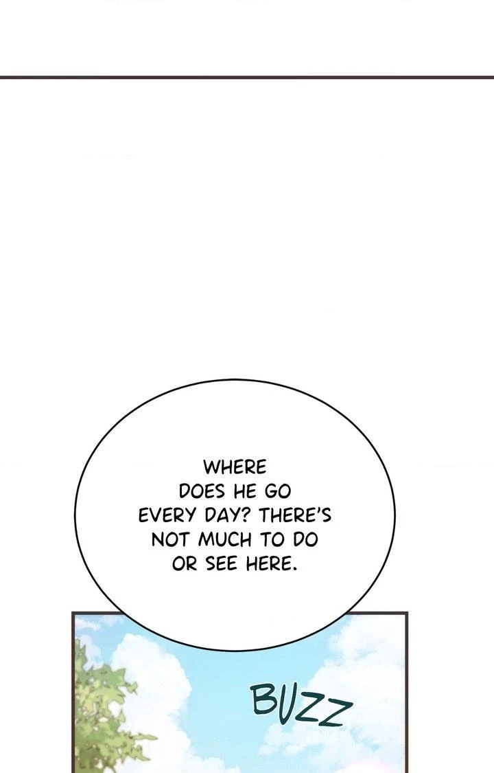 Read Summer