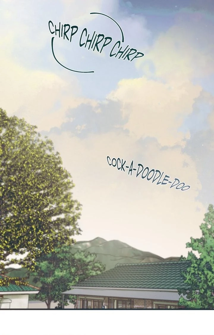 Read Summer