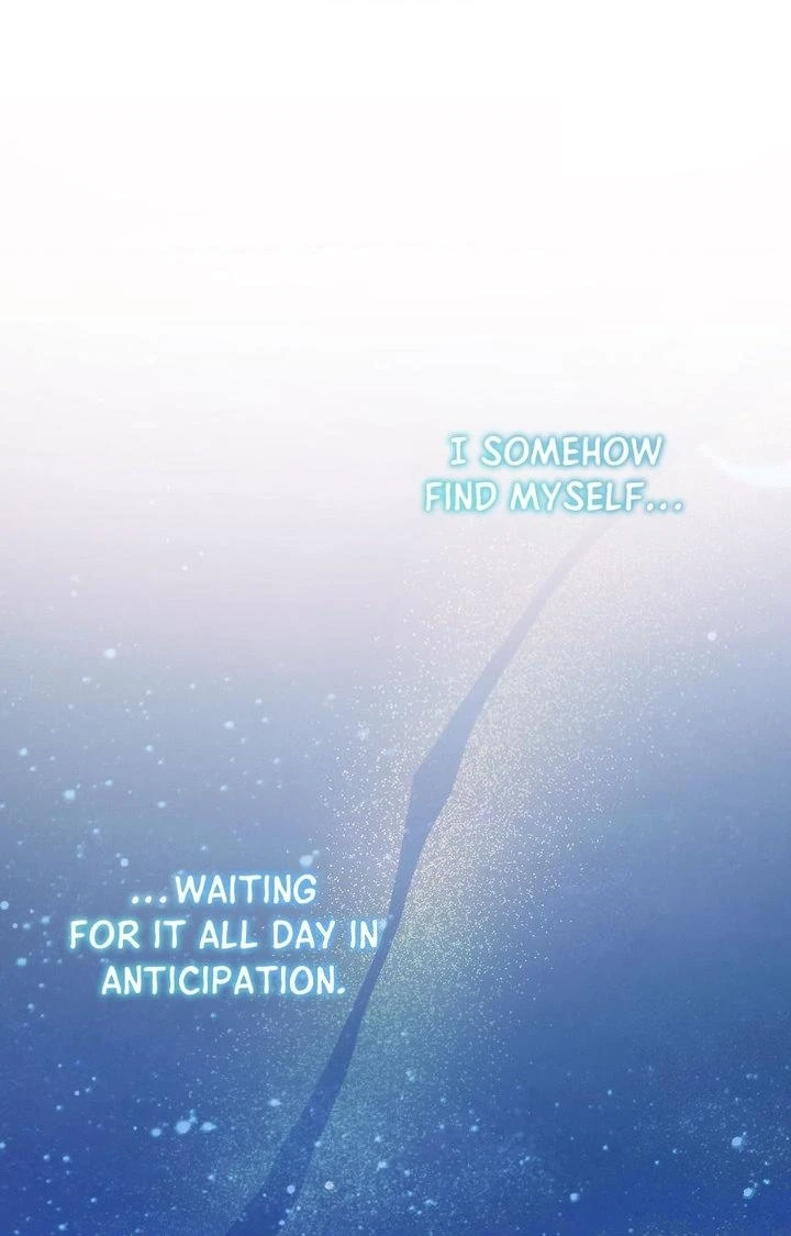 Read Summer