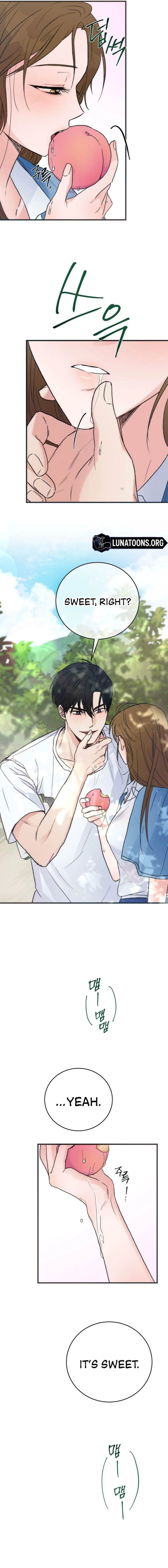Read Summer