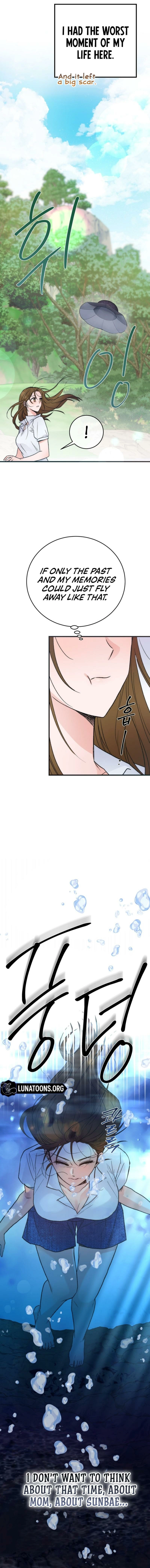 Read Summer