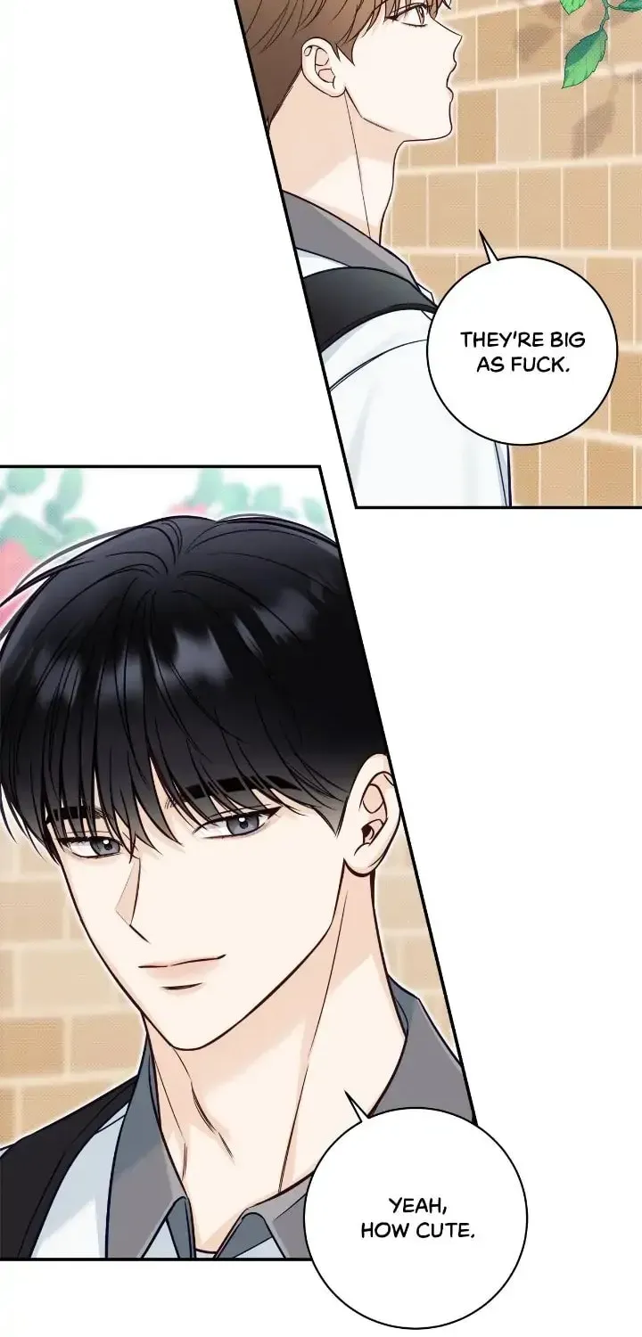 Read Summertime chapter 37 image 18 on Lezhin