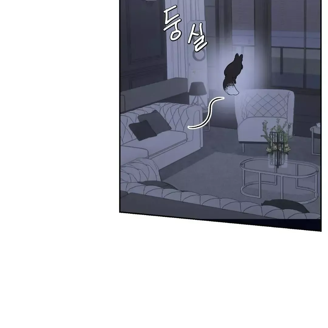 Read Sun Behind the Shadows chapter 1 image 152 on Lezhin