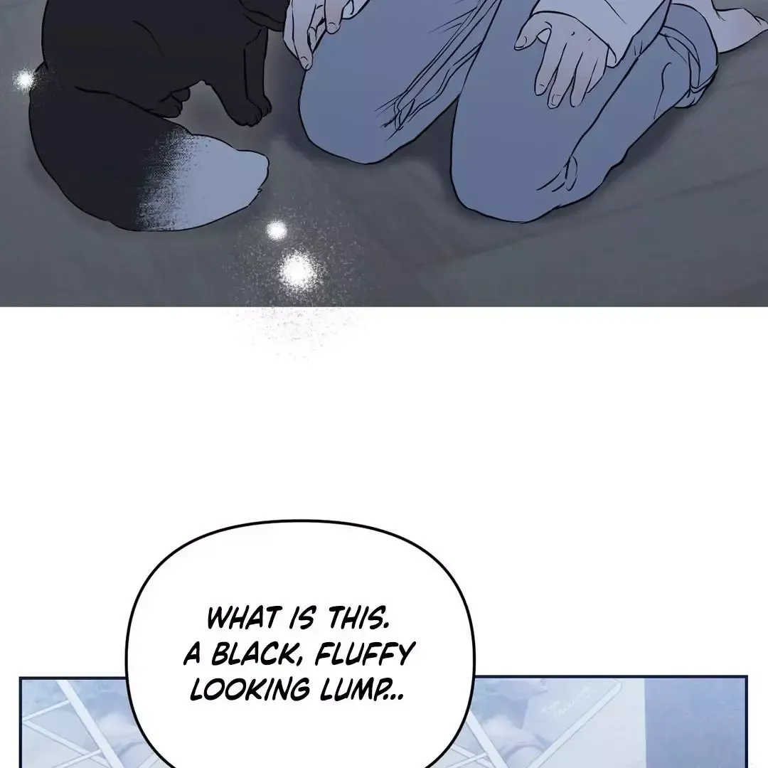 Read Sun Behind the Shadows chapter 1 image 51 on Lezhin
