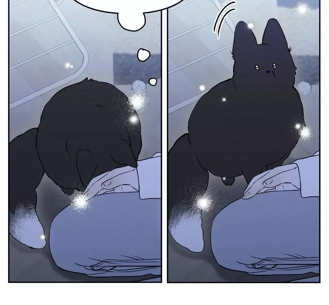 Read Sun Behind the Shadows chapter 1 image 52 on Lezhin
