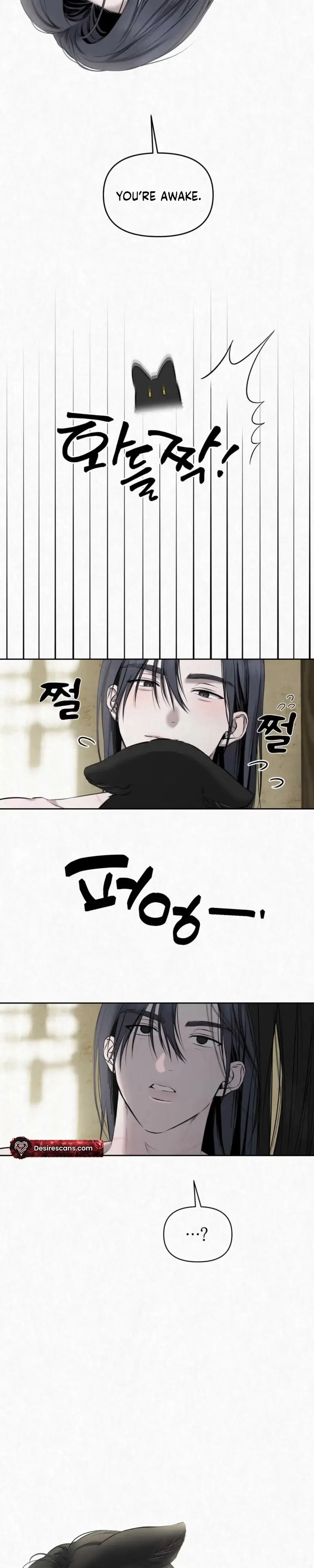 Read Sun Behind the Shadows chapter 35 image 11 on Lezhin