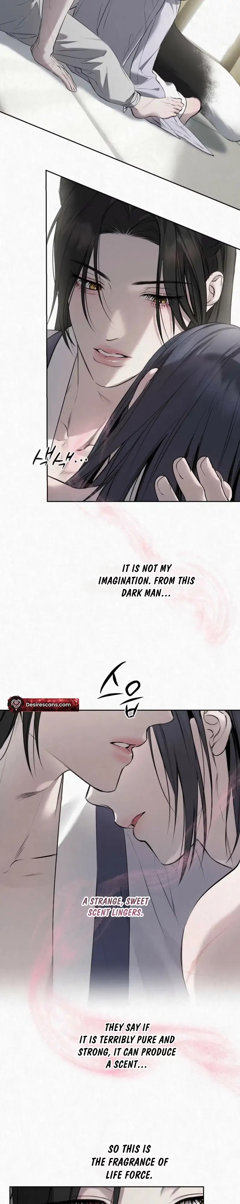 Read Sun Behind the Shadows chapter 36 image 5 on Lezhin