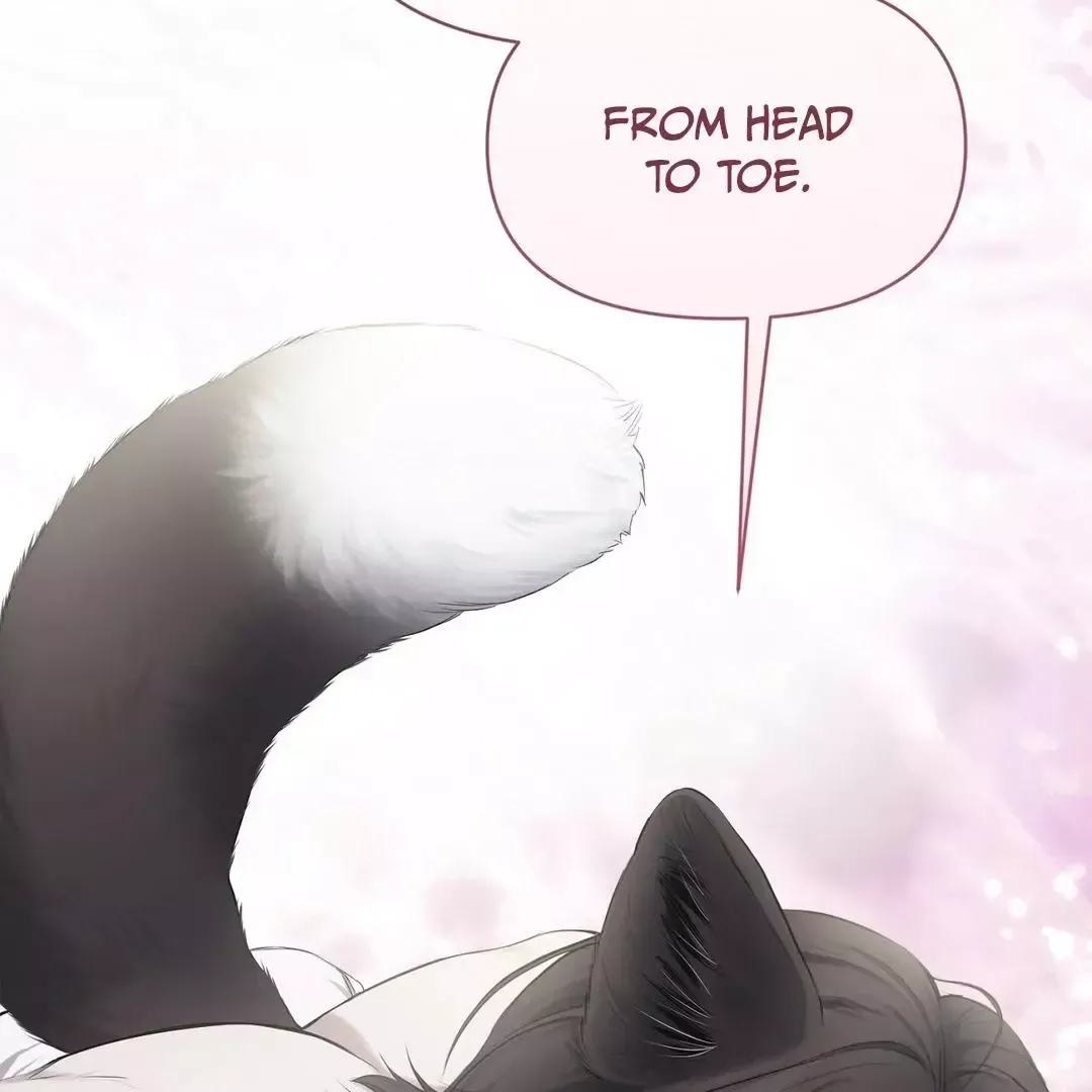 Read Sun Behind the Shadows chapter 7 image 2 on Lezhin