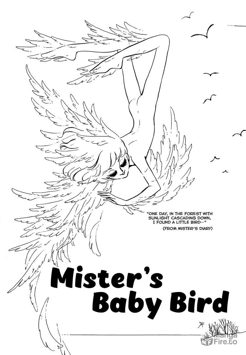 Read Sunroom Nite chapter 5 image 2 on Lezhin
