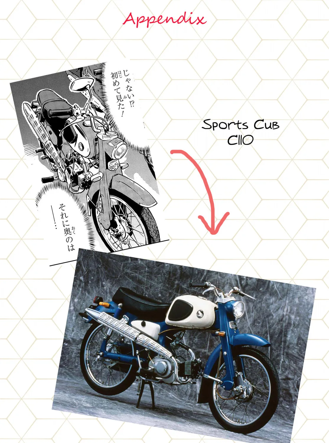 Read Super Cub Rei chapter 3 image 56 on Lezhin