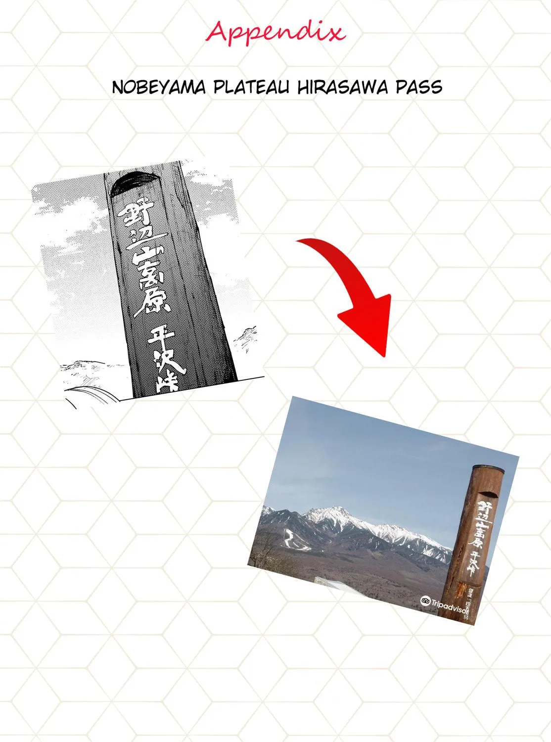 Read Super Cub chapter 36.5 image 16 on Lezhin