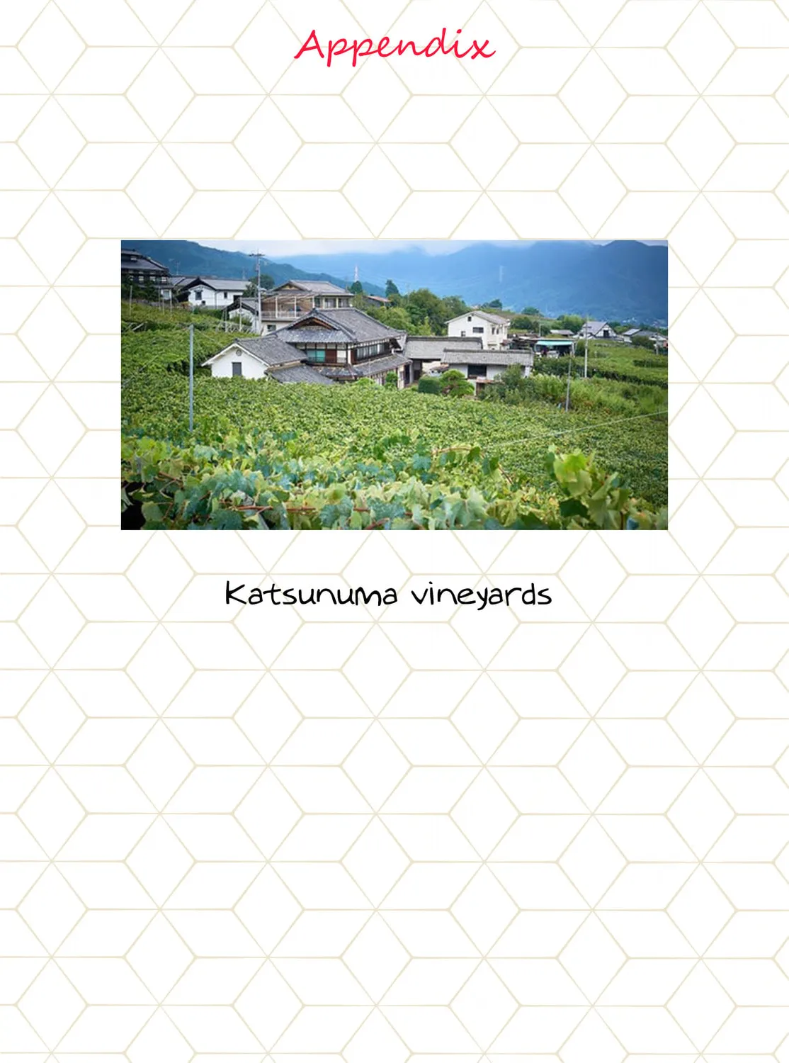 Read Super Cub chapter 38 image 32 on Lezhin