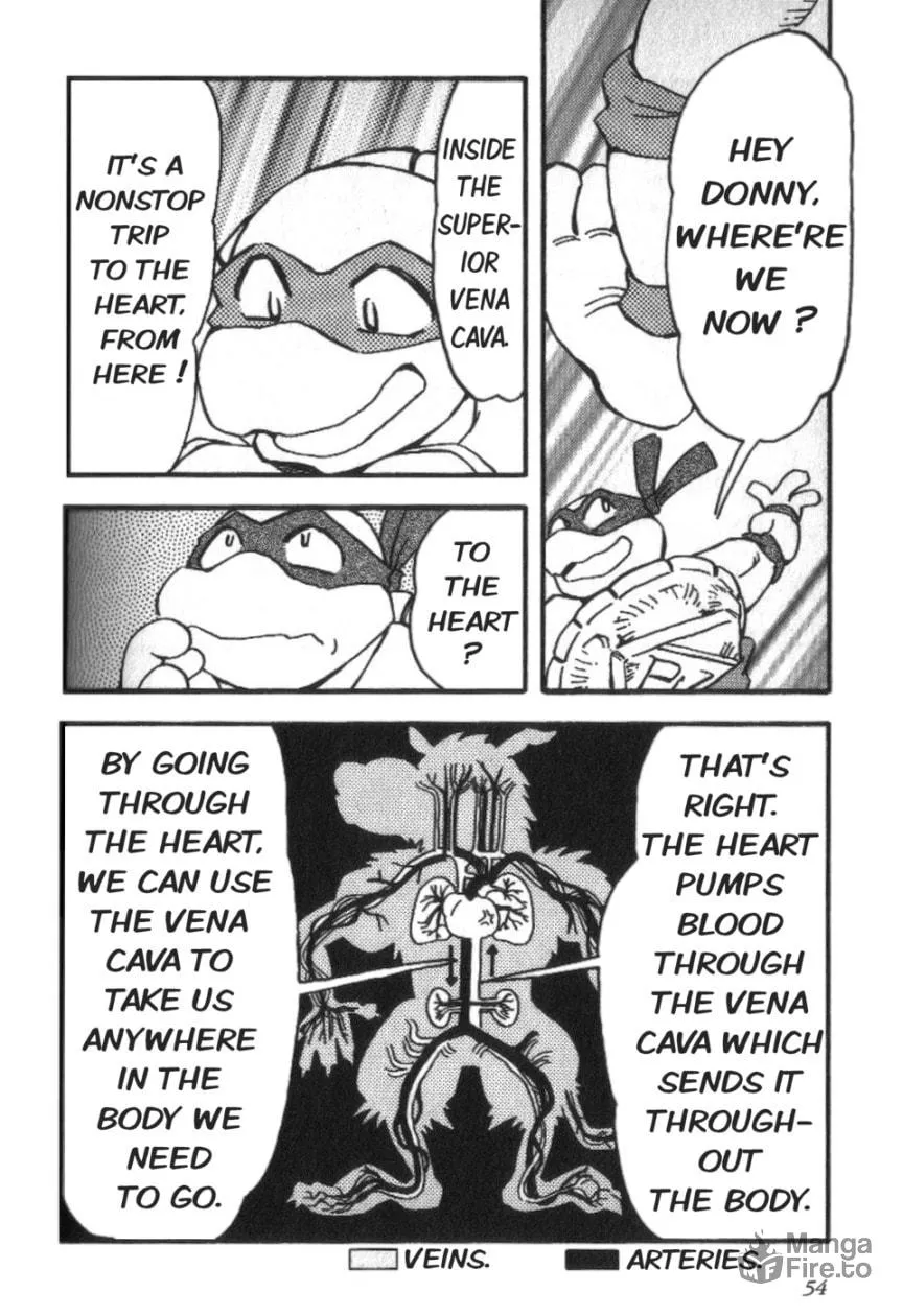 Read Super Turtles chapter 2 image 79 on Lezhin