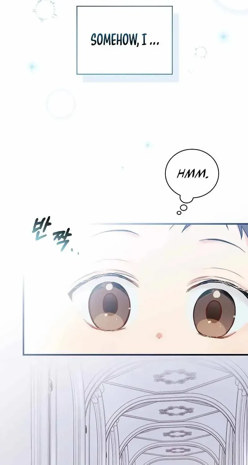 Read Superstar From Age 0 chapter 1.2 image 27 on Lezhin