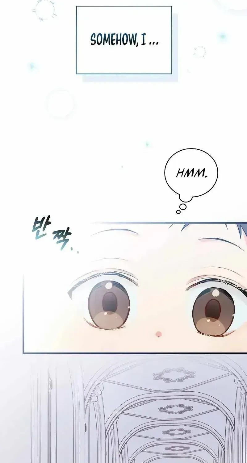 Read Superstar From Age 0 chapter 1.8 image 27 on Lezhin