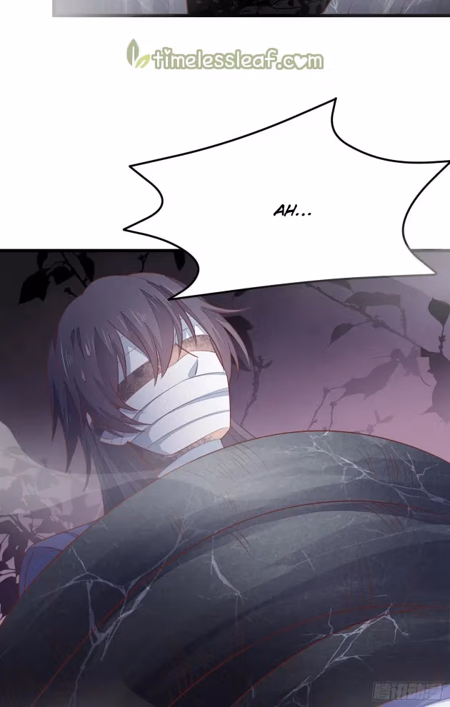 Read Supreme Ocular Master: The Peerless Heiress chapter 152.5 image 4 on Lezhin