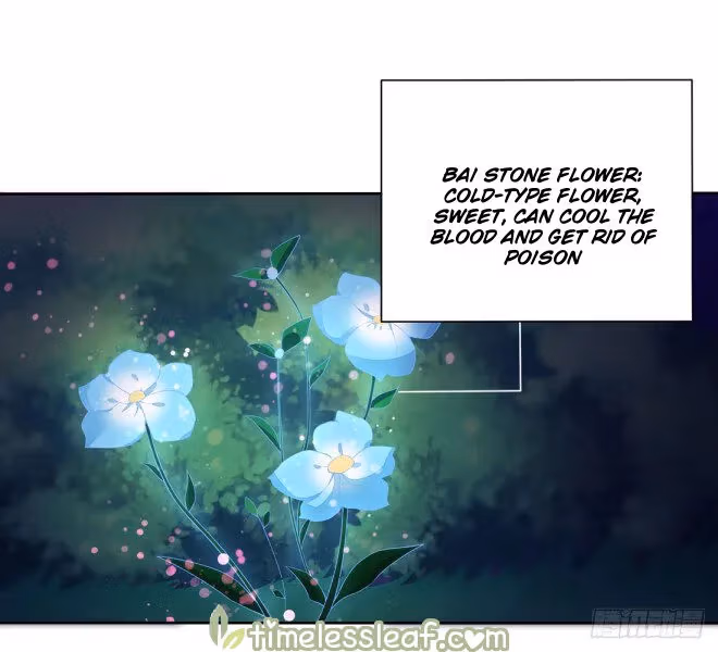 Read Supreme Ocular Master: The Peerless Heiress chapter 8.1 image 1 on Lezhin