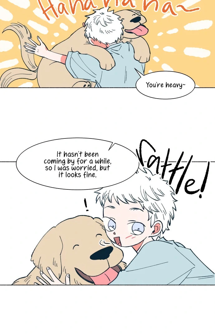 Read Supsogui Dam chapter 17 image 15 on Lezhin