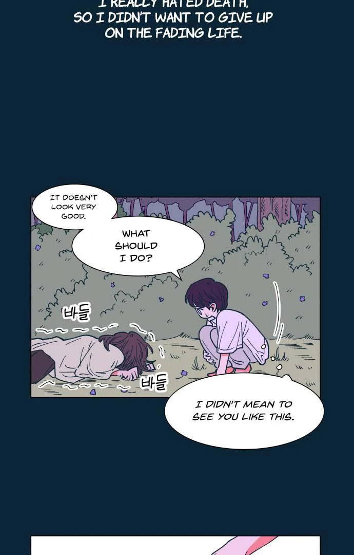 Read Supsogui Dam chapter 25 image 21 on Lezhin