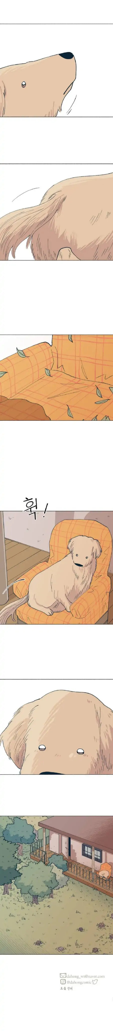 Read Supsogui Dam chapter 38 image 15 on Lezhin