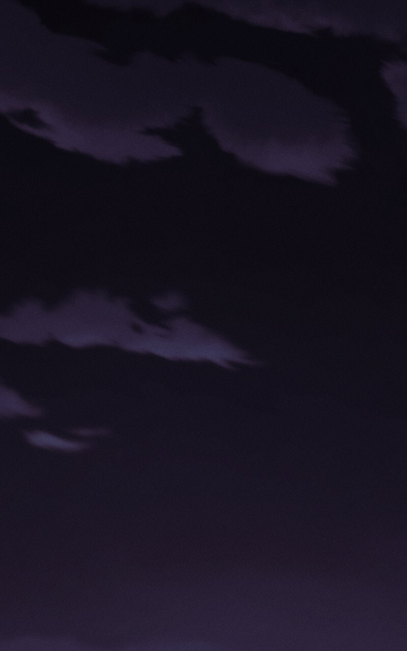 Read Survive to Revive chapter 17 image 17 on Lezhin