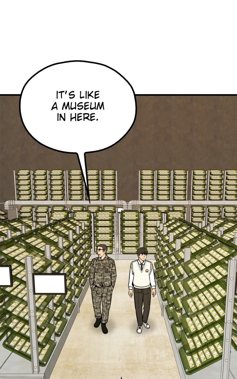 Survive to Revive Chapter 56 page 81 - 