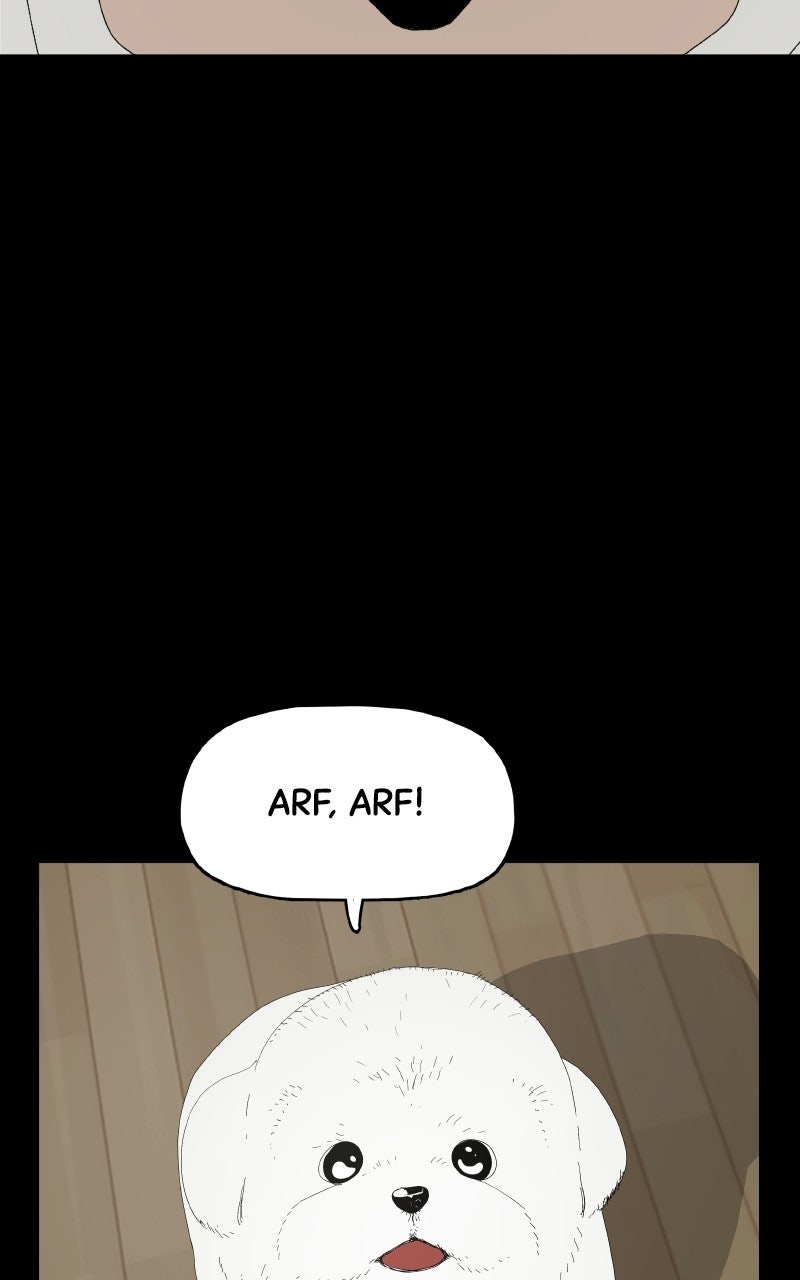 Read Survive chapter 21 image 56 on Lezhin