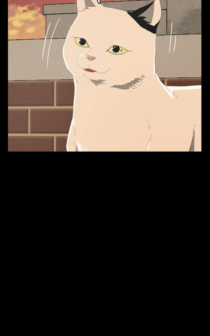 Read Survive chapter 28 image 98 on Lezhin