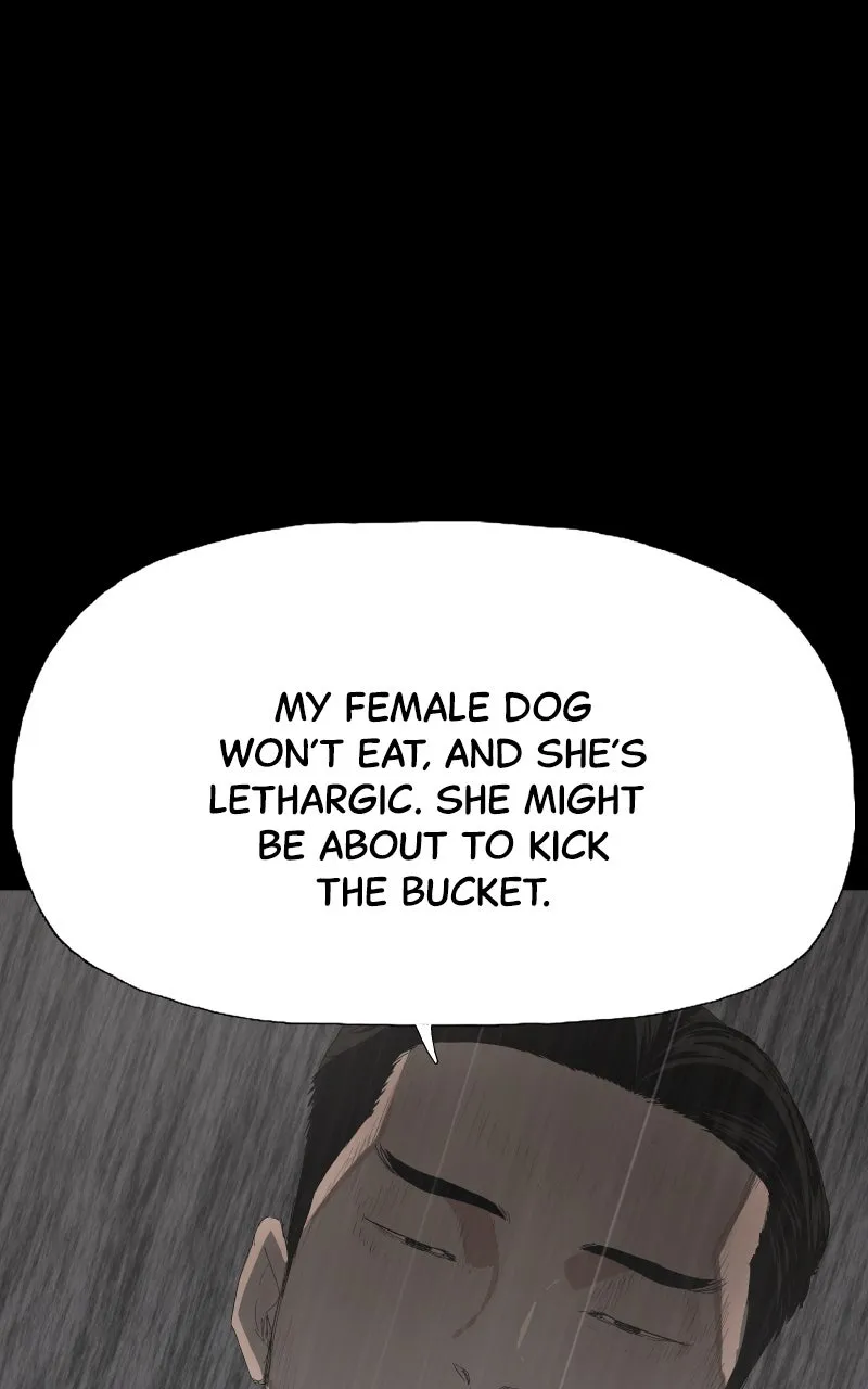 Read Survive chapter 9 image 37 on Lezhin