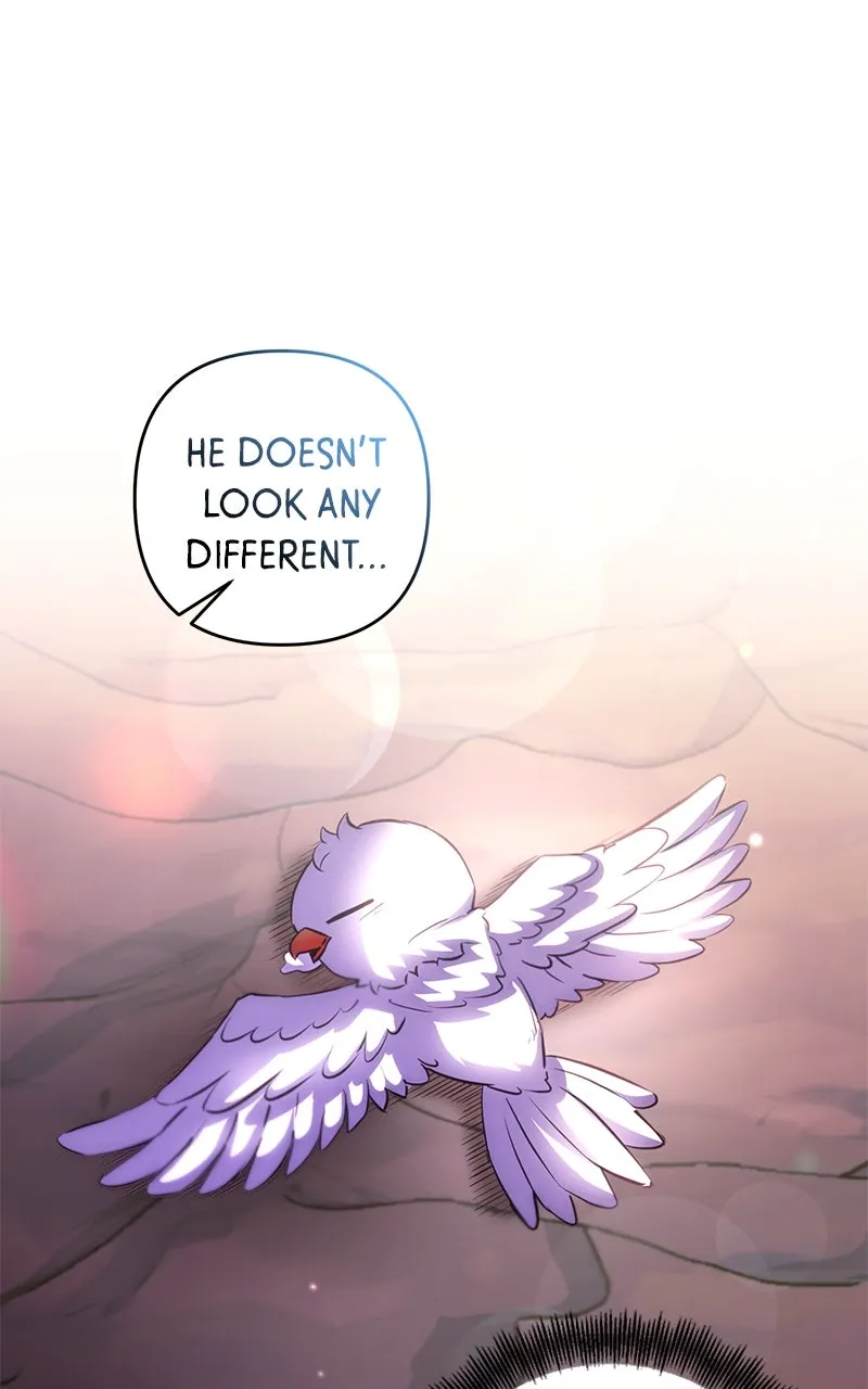 Read Surviving a Fantasy Adventure Comic chapter 62 image 72 on Lezhin