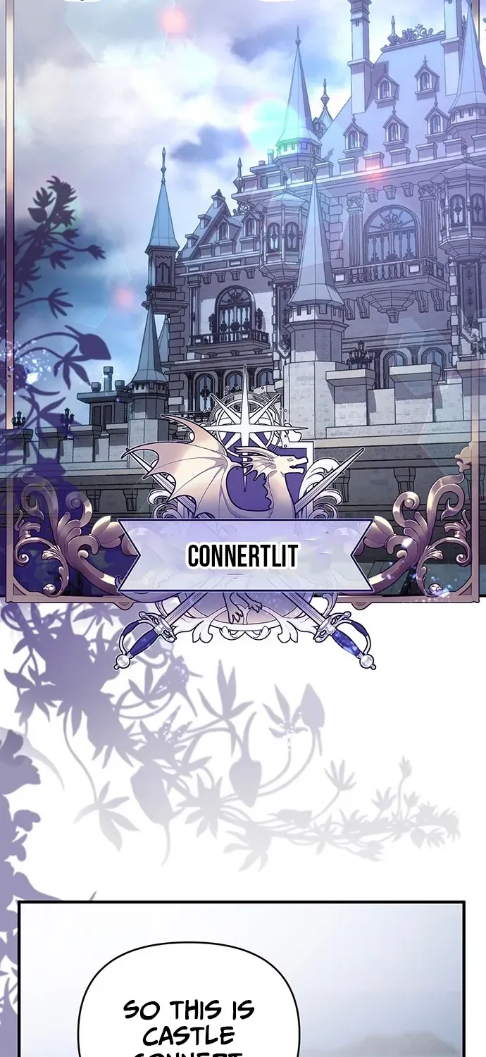 Surviving as a Butler at Castle Connert Chapter 1 page 43 - 