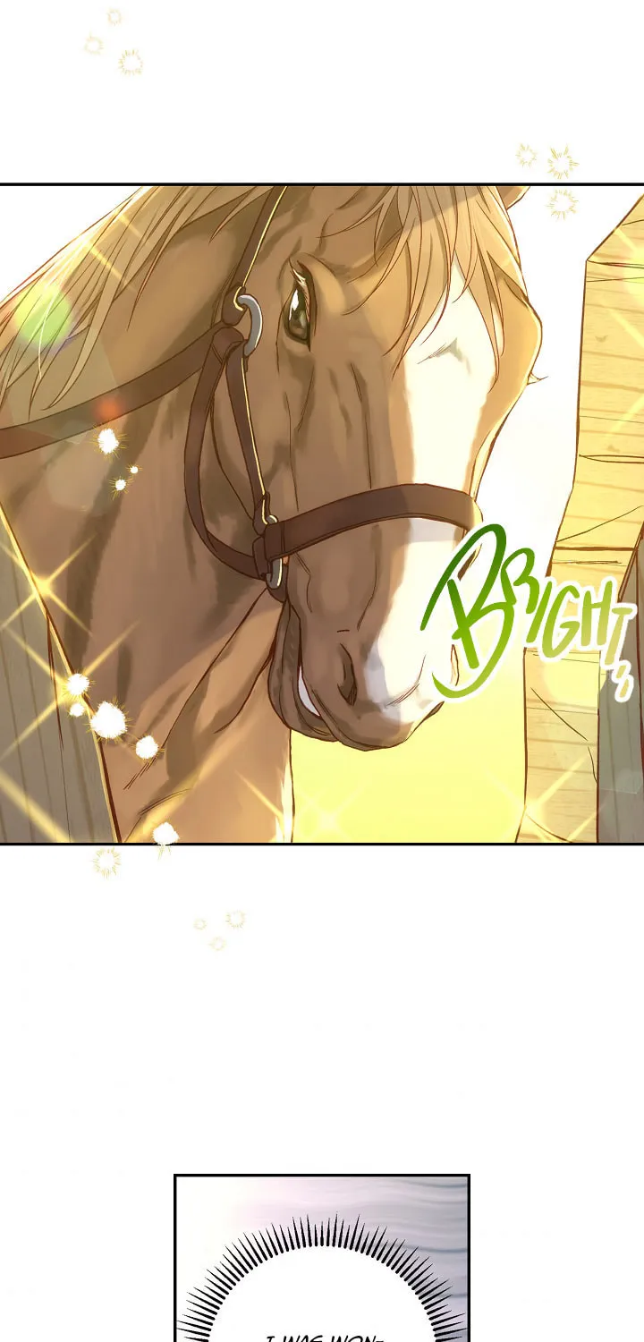 Surviving as a Maid Chapter 48 page 65 - 