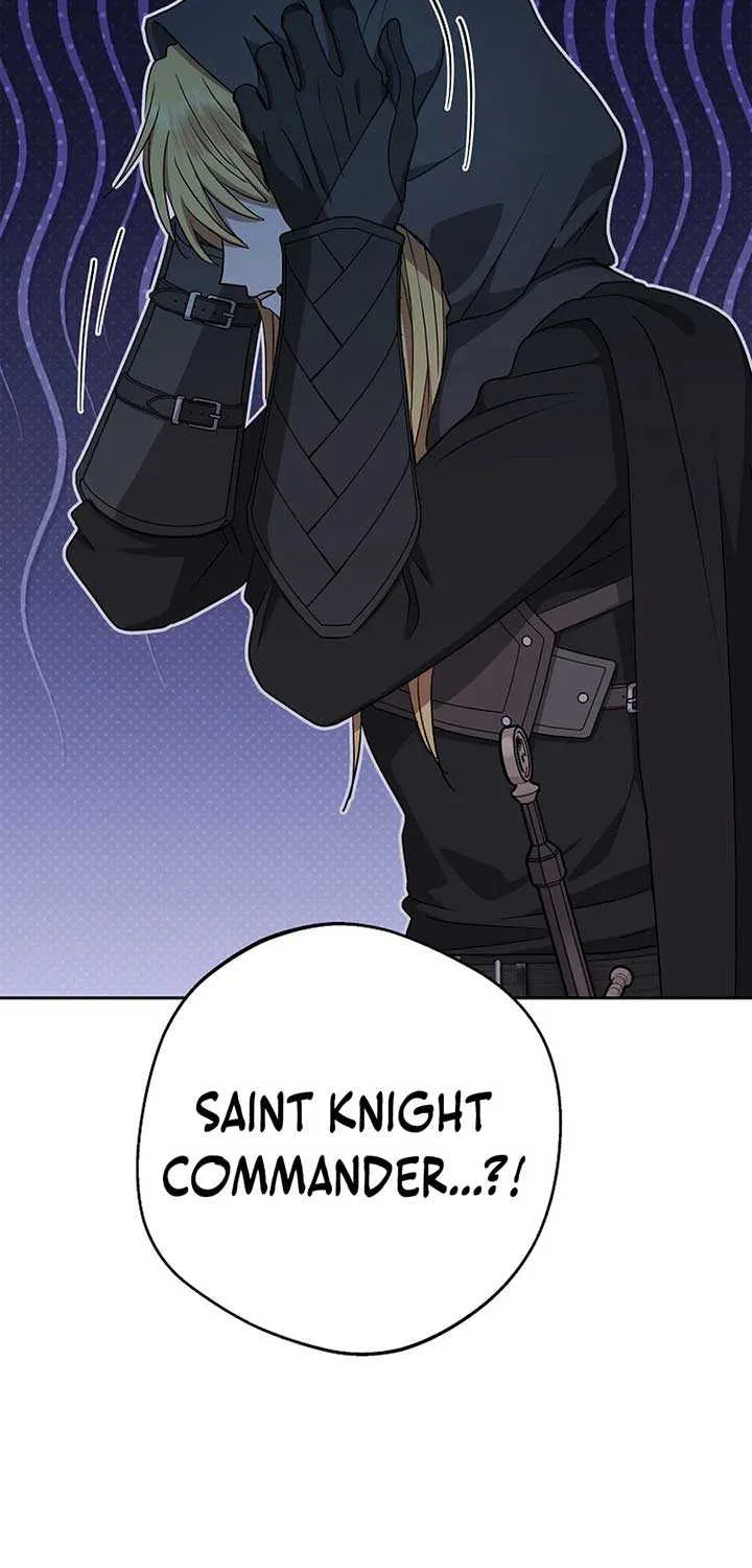 Surviving as an Illegitimate Princess Chapter 100 page 46 - 