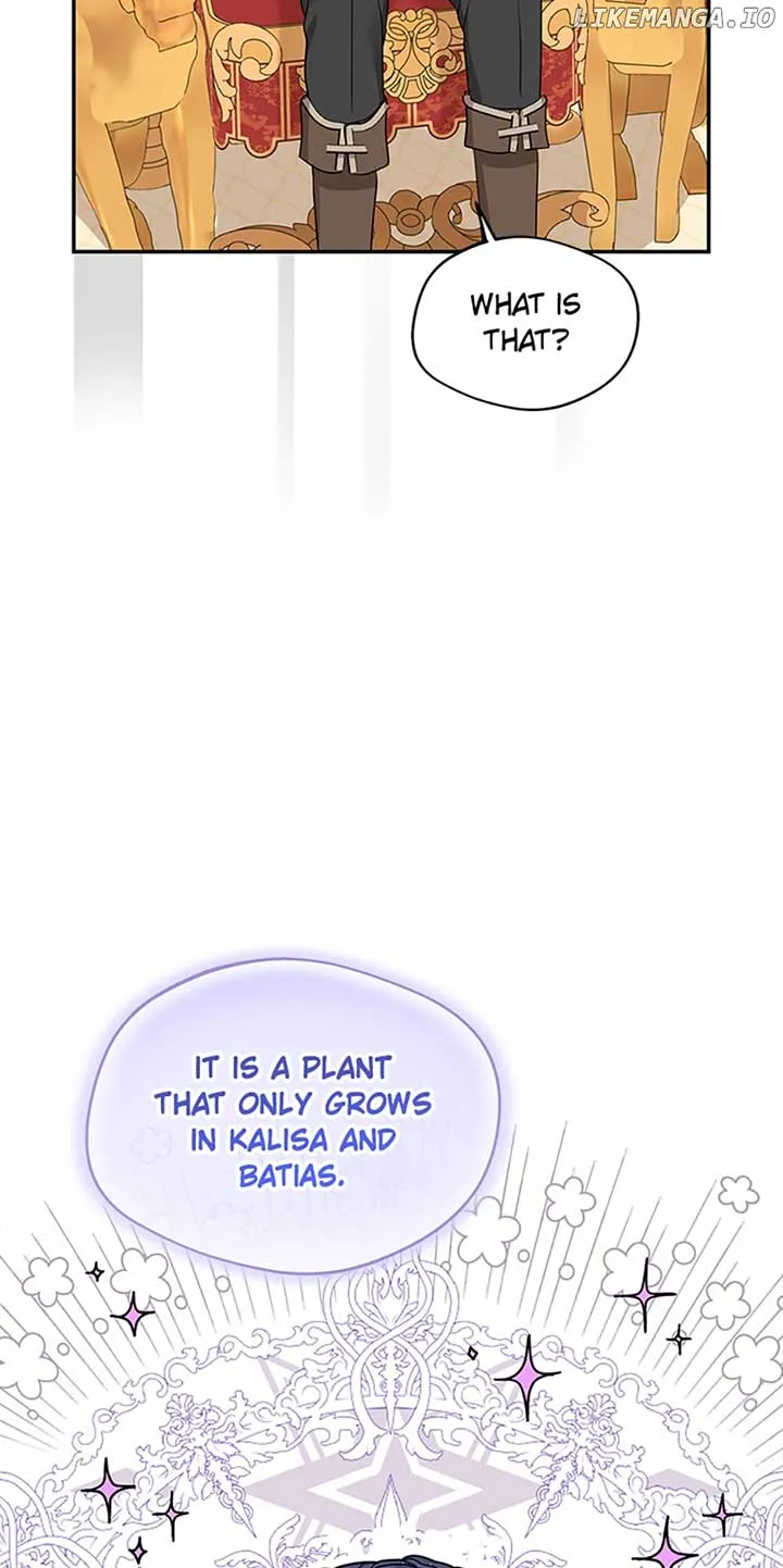 Surviving as an Illegitimate Princess Chapter 57 page 36 - 