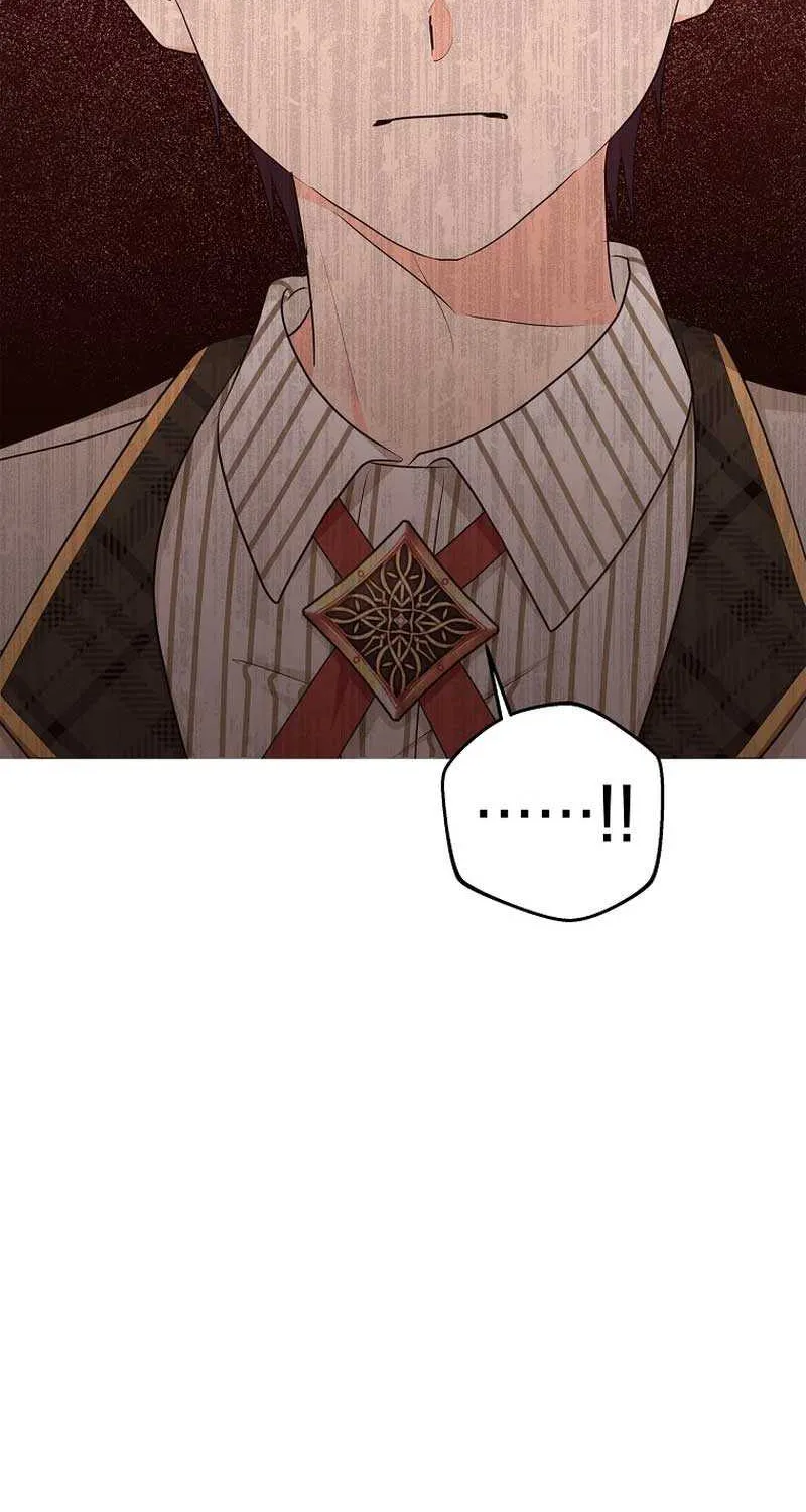 Surviving as an Illegitimate Princess Chapter 79 page 32 - 