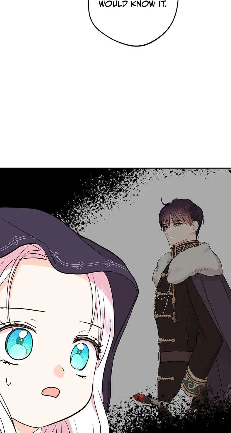 Surviving as an Illegitimate Princess Chapter 82 page 60 - 