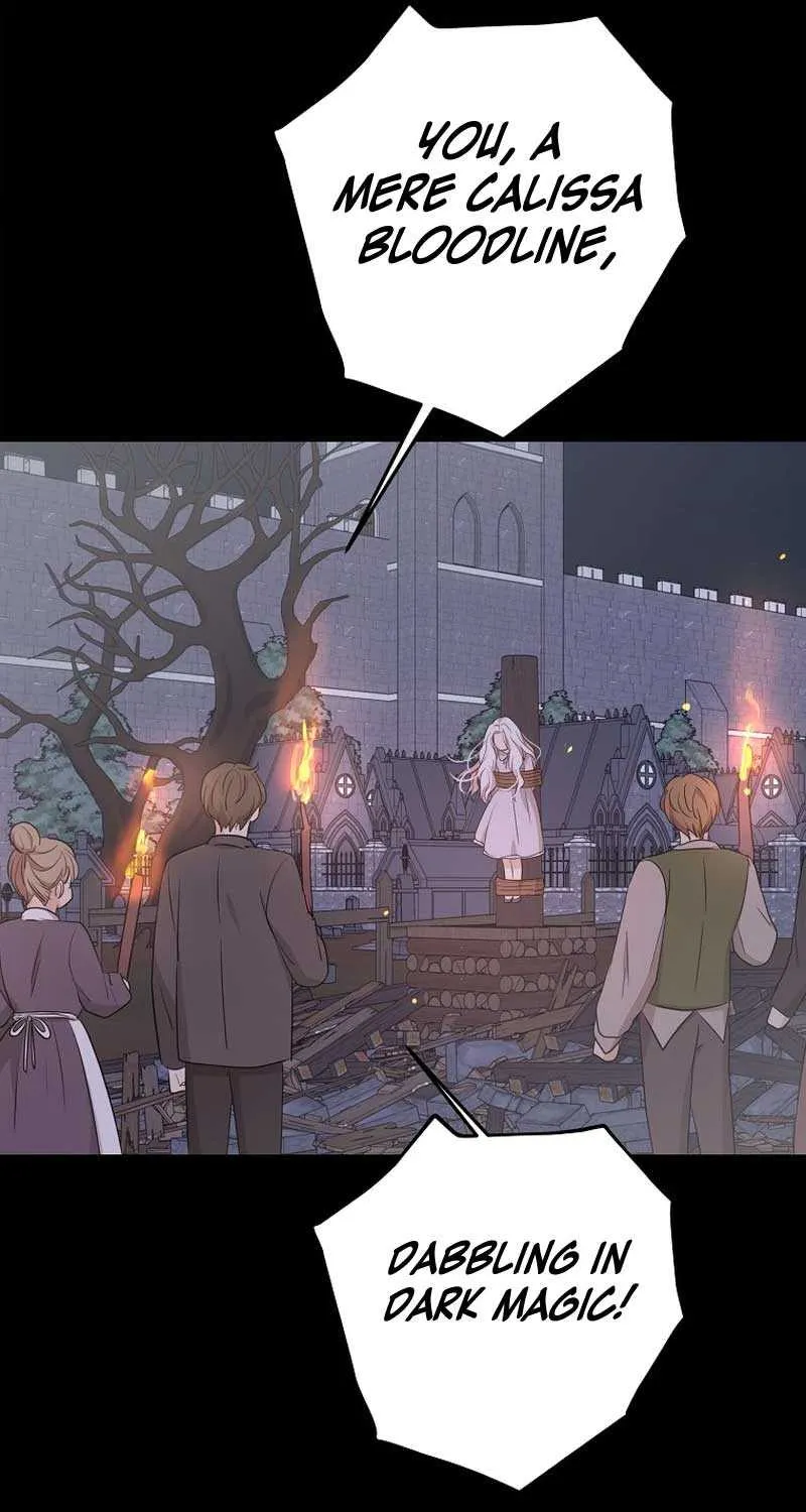Surviving as an Illegitimate Princess Chapter 86 page 25 - 