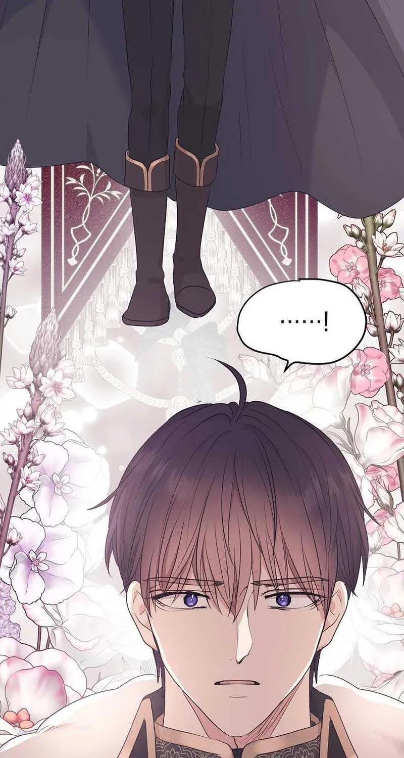 Surviving as an Illegitimate Princess Chapter 89 page 30 - 