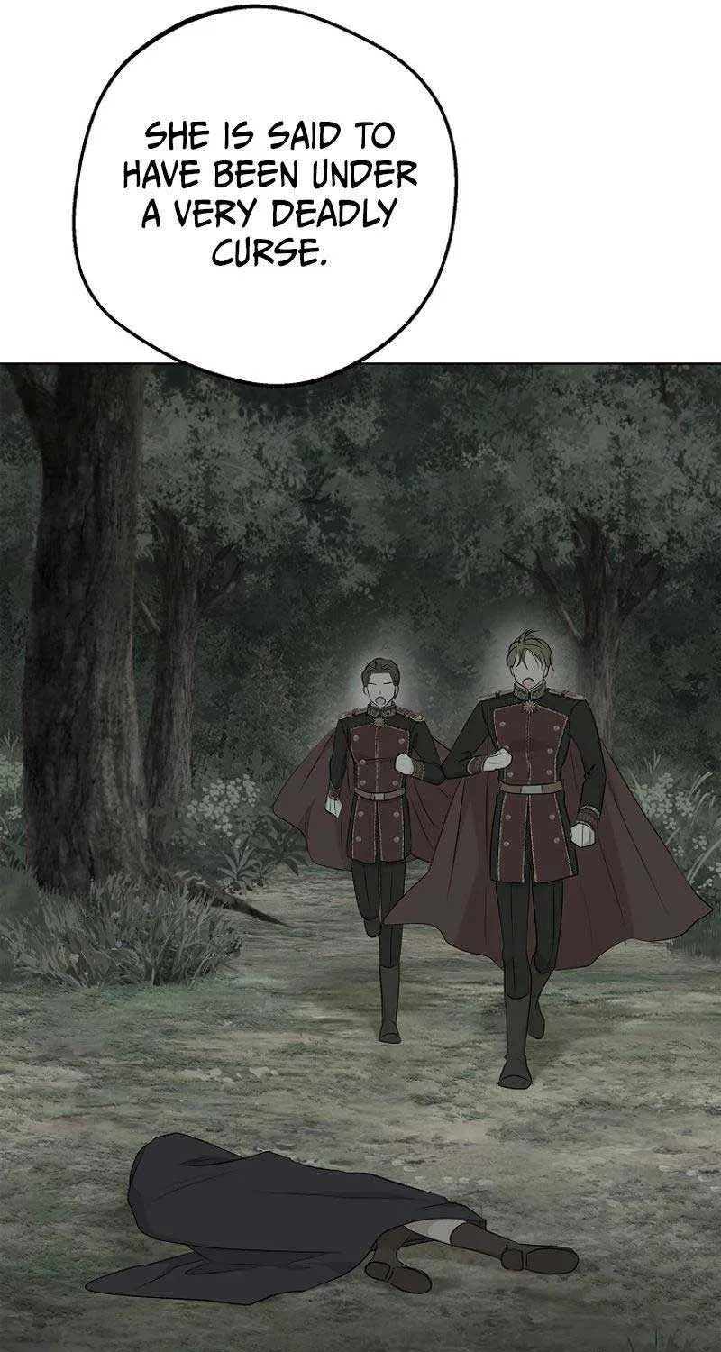 Surviving as an Illegitimate Princess Chapter 90 page 25 - 