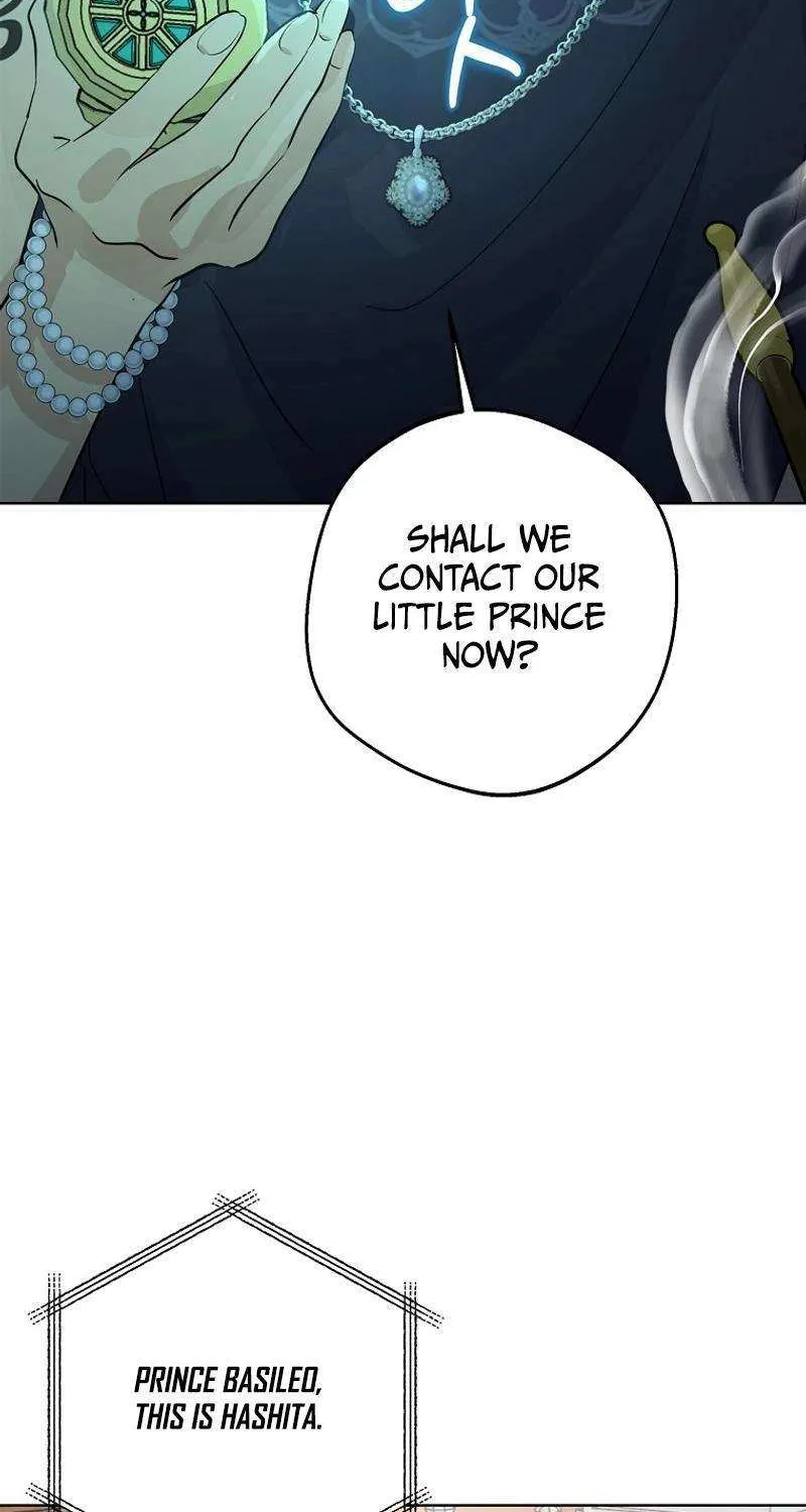 Surviving as an Illegitimate Princess Chapter 91 page 47 - 