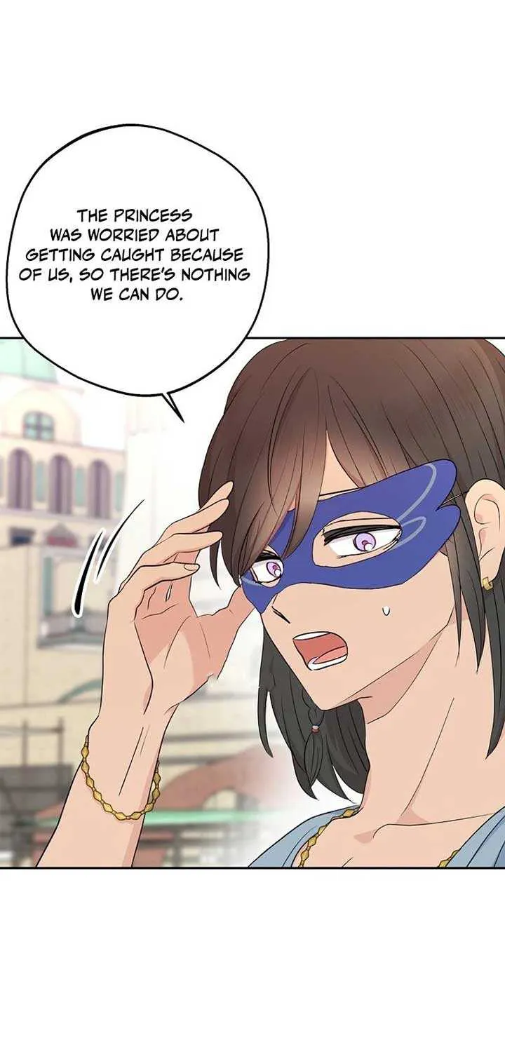 Surviving as an Illegitimate Princess Chapter 93 page 33 - 