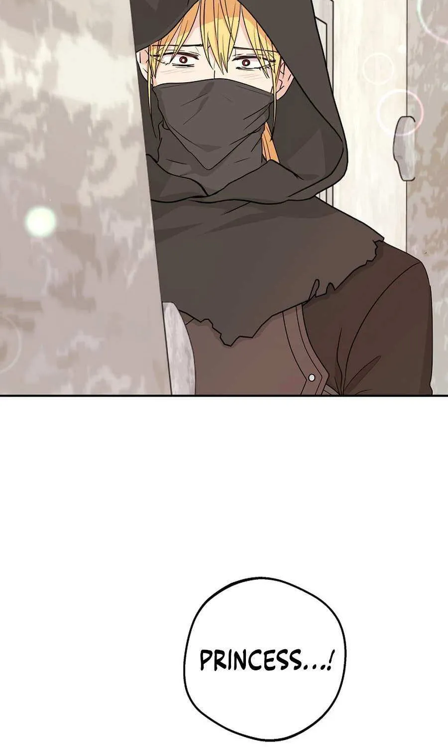 Surviving as an Illegitimate Princess Chapter 98 page 20 - 
