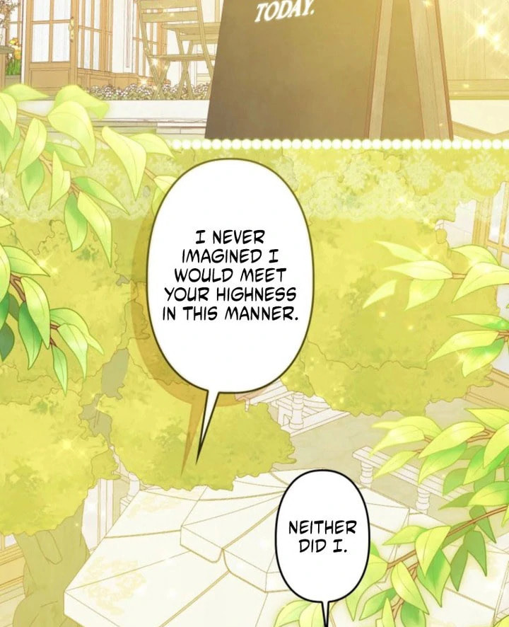 Surviving as Twin Sisters Chapter 34 page 17 - 