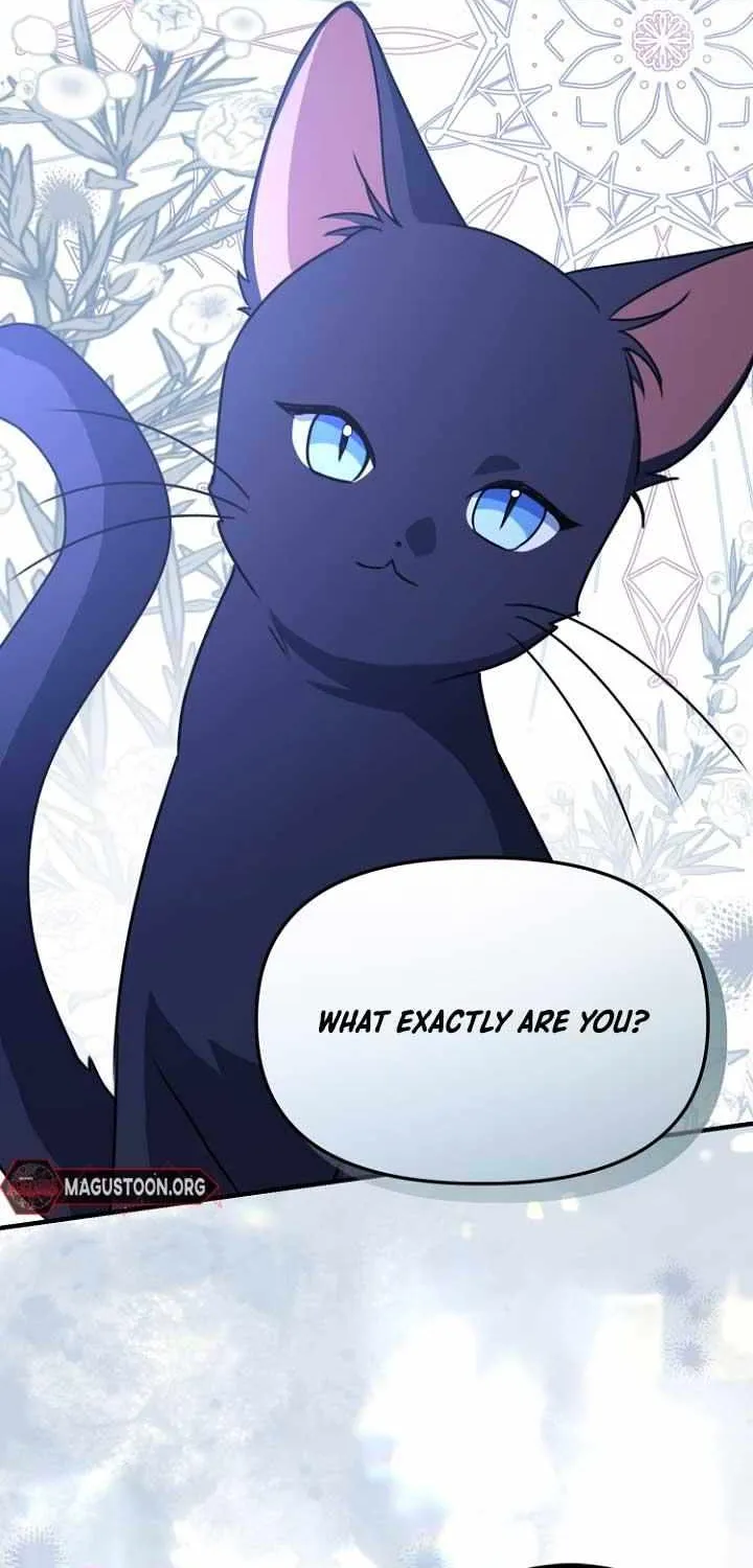 Read Surviving at the Cursed School chapter 14 image 67 on Lezhin