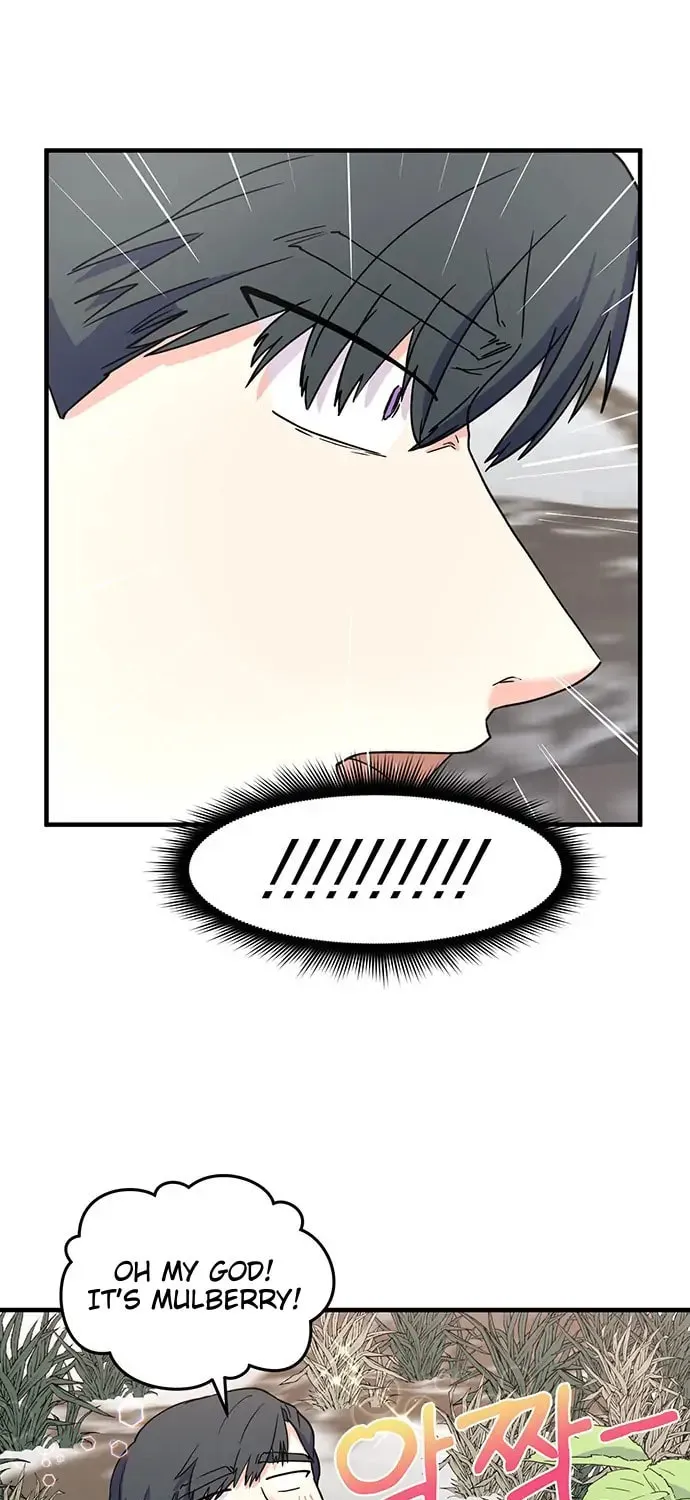 Read Surviving in a Harem chapter 18 image 8 on Lezhin