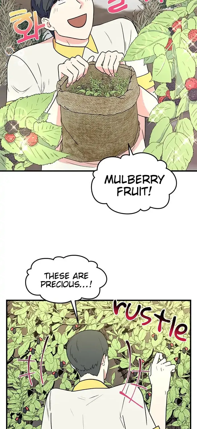 Read Surviving in a Harem chapter 18 image 9 on Lezhin