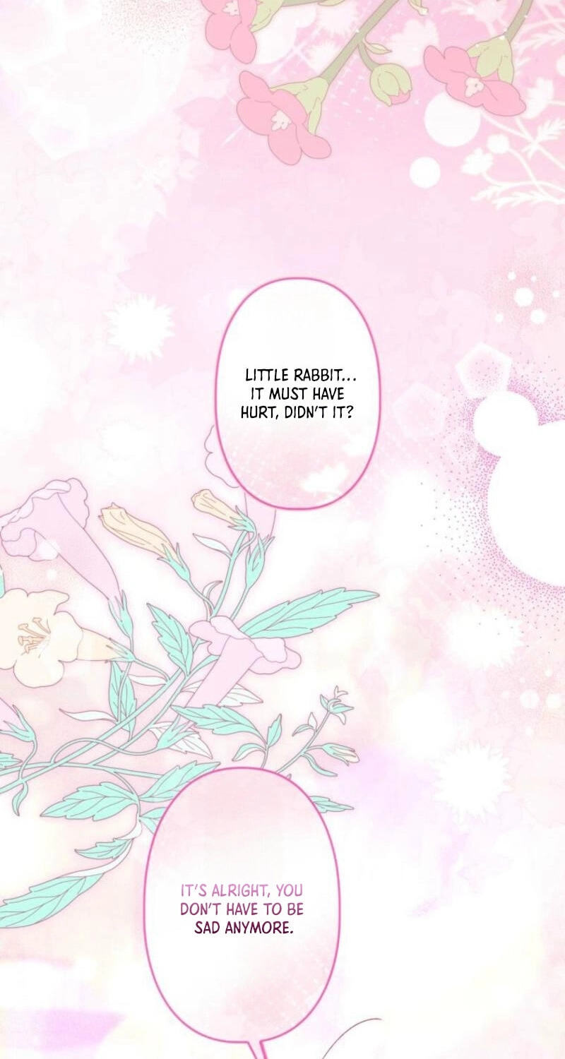 Surviving My Sister Chapter 25 page 66 - 