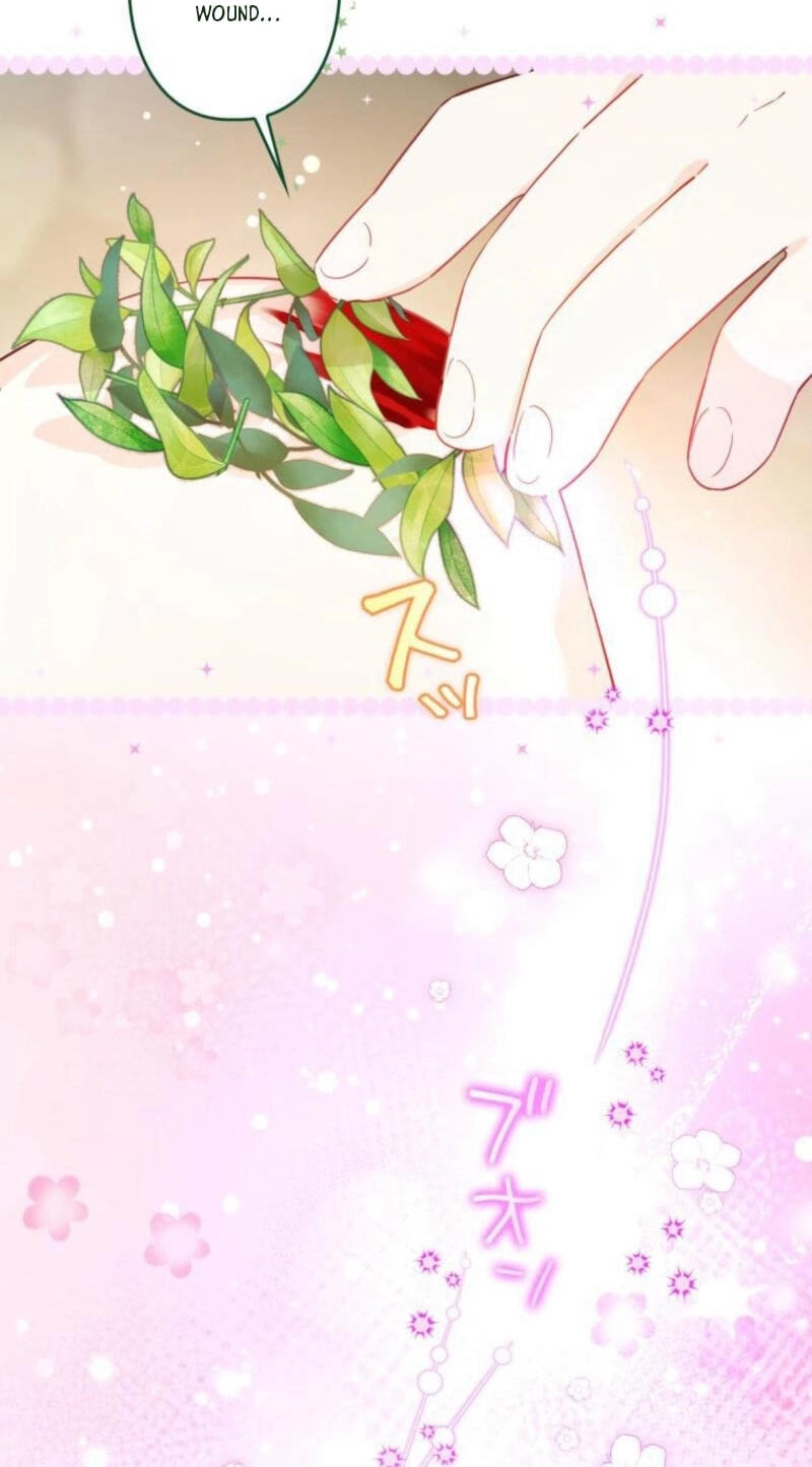 Surviving My Sister Chapter 33 page 68 - 