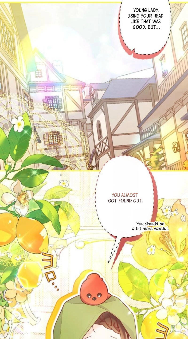 Surviving My Sister Chapter 33 page 73 - 