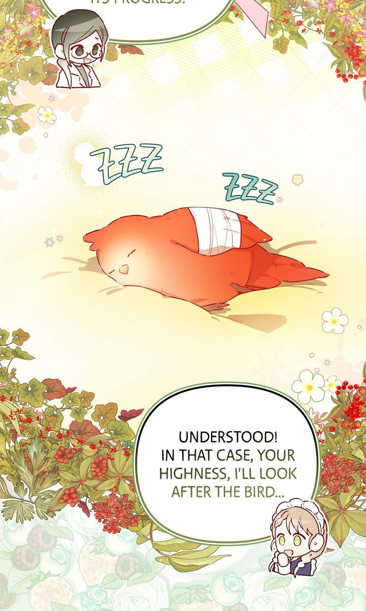 Surviving My Sister Chapter 6 page 64 - 